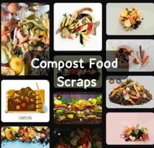 Compost food scraps 