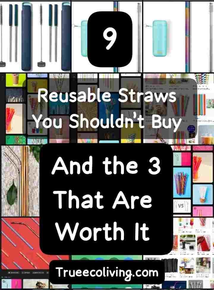 Reusable Straws You Shouldn’t Buy