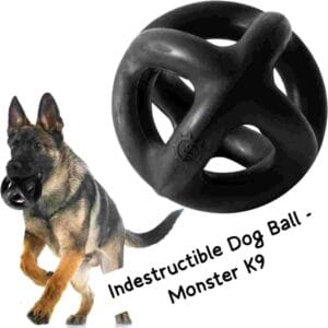 Monster K9 Indestructible Dog Ball 