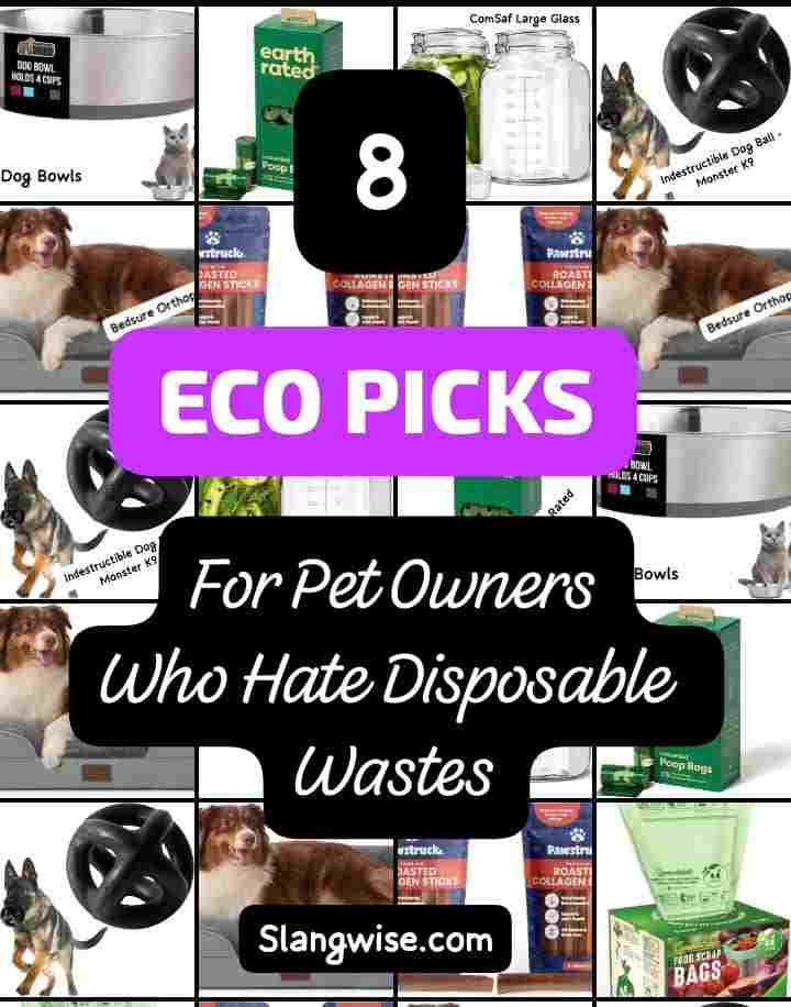 Eco picks for pet owners who hate disposable waste