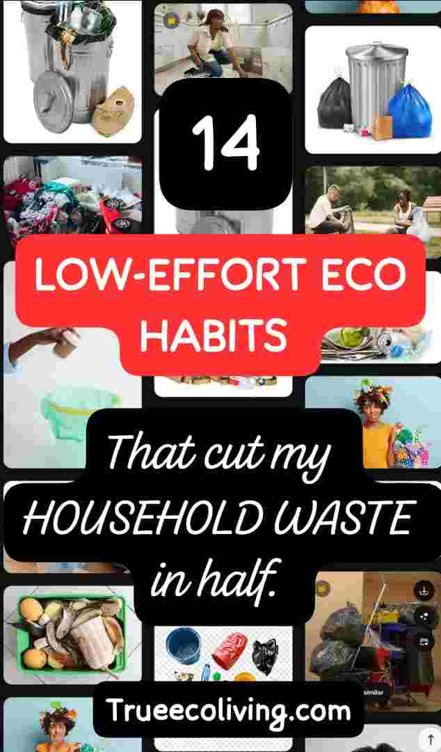 low-effort eco habits that cut my household waste in half