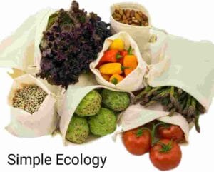 Simple Ecology reusable produce bag
