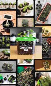Herb Growing Kit