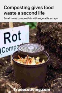 Small home compost bin with vegetable scraps