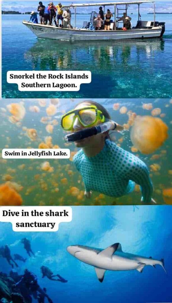 Palau: The Ocean's Sacred Pact