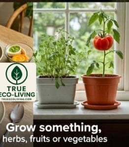 Grow something - sustainable living practices 
