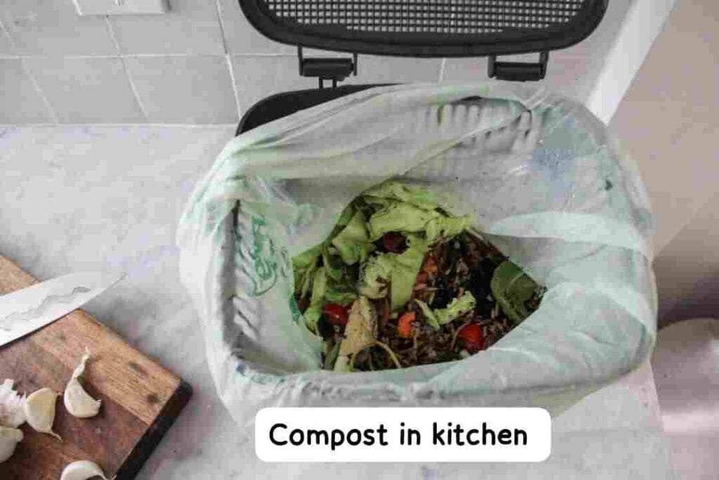 Composting in kitchen 