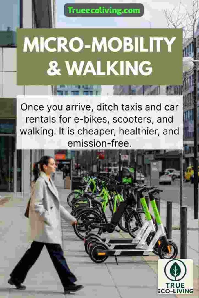 Micro-Mobility and Walking