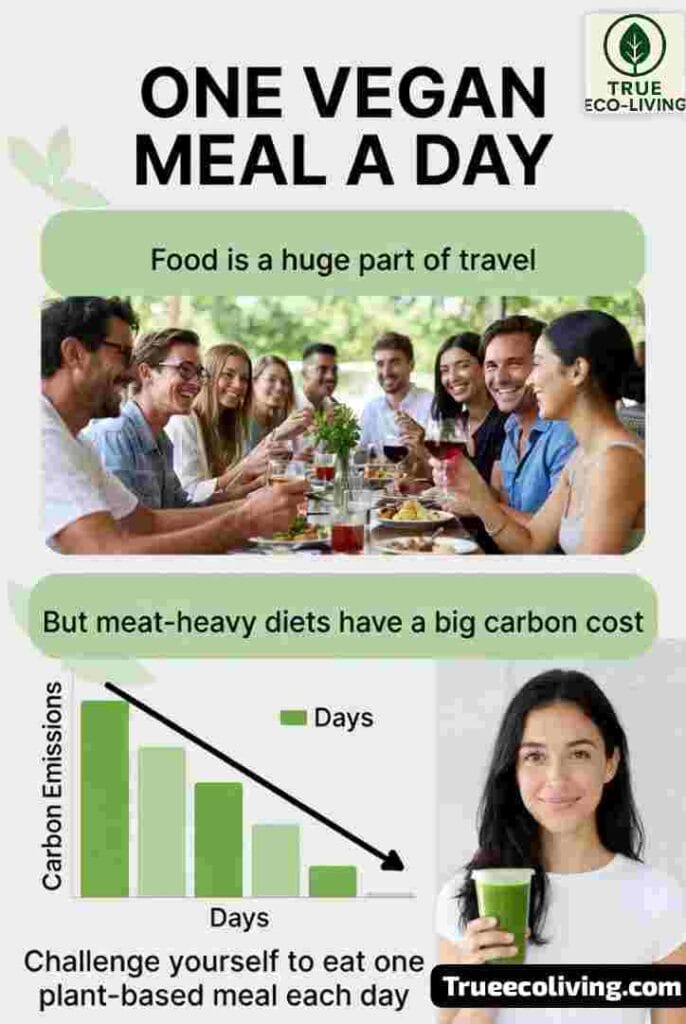 One Vegan Meal a Day