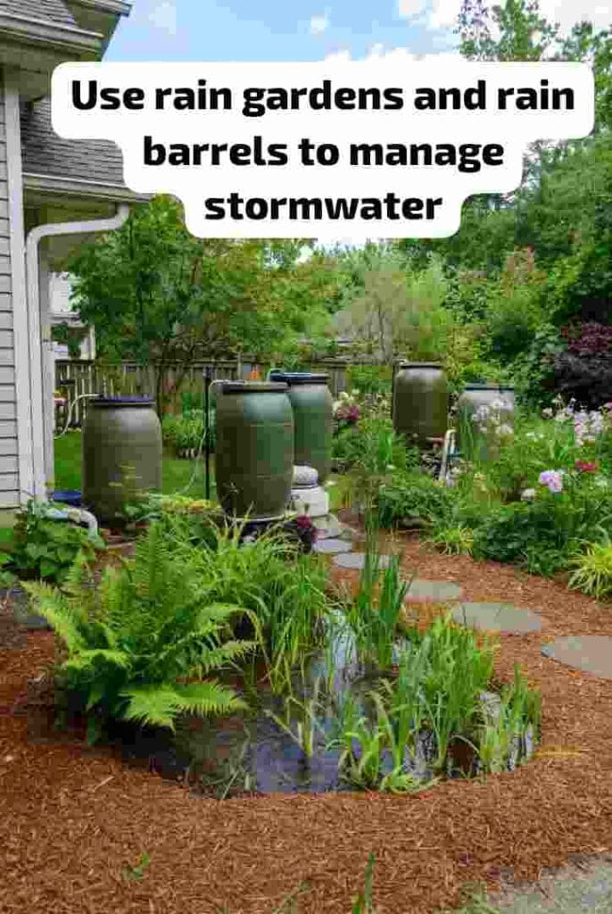 Use rain gardens and rain barrels to manage stormwater