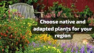 Choose native and adapted plants for your region