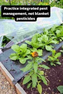 Practice integrated pest management, not blanket pesticides