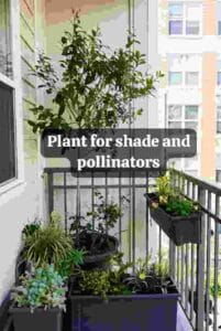 Plant for shade and pollinators