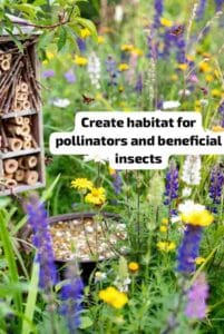 Create habitat for pollinators and beneficial insects