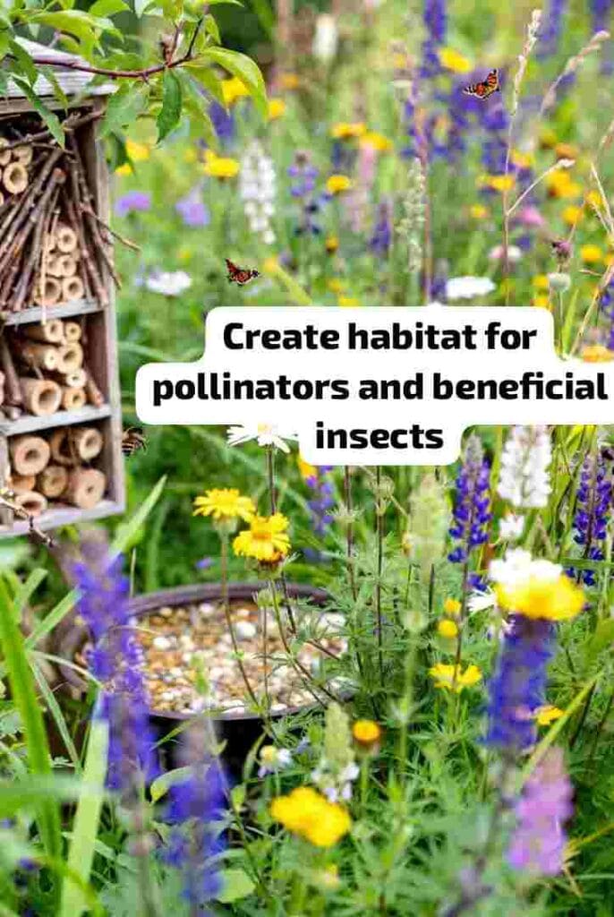 Create habitat for pollinators and beneficial insects