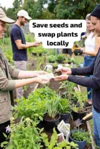 Save seeds and swap plants locally