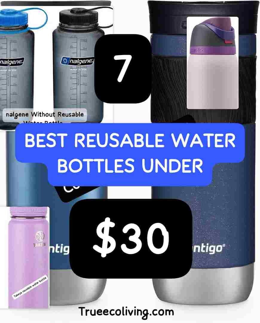 Best Reusable Water Bottles Under $30