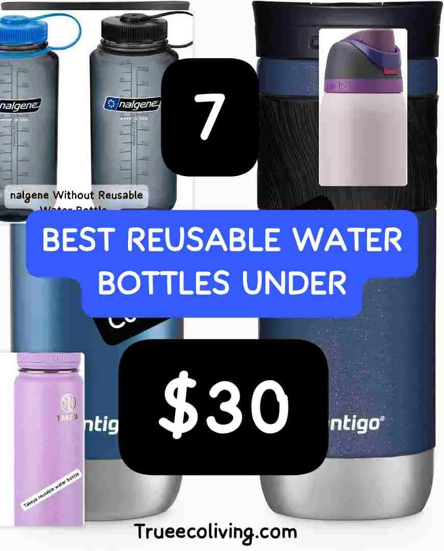Best Reusable Water Bottles Under $30