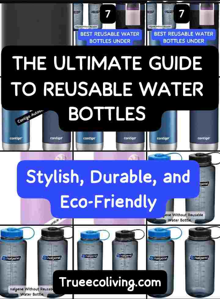 Discover stylish, durable, and eco-friendly reusable water bottles. Our ultimate guide helps you reduce waste and find your perfect sustainable bottle.