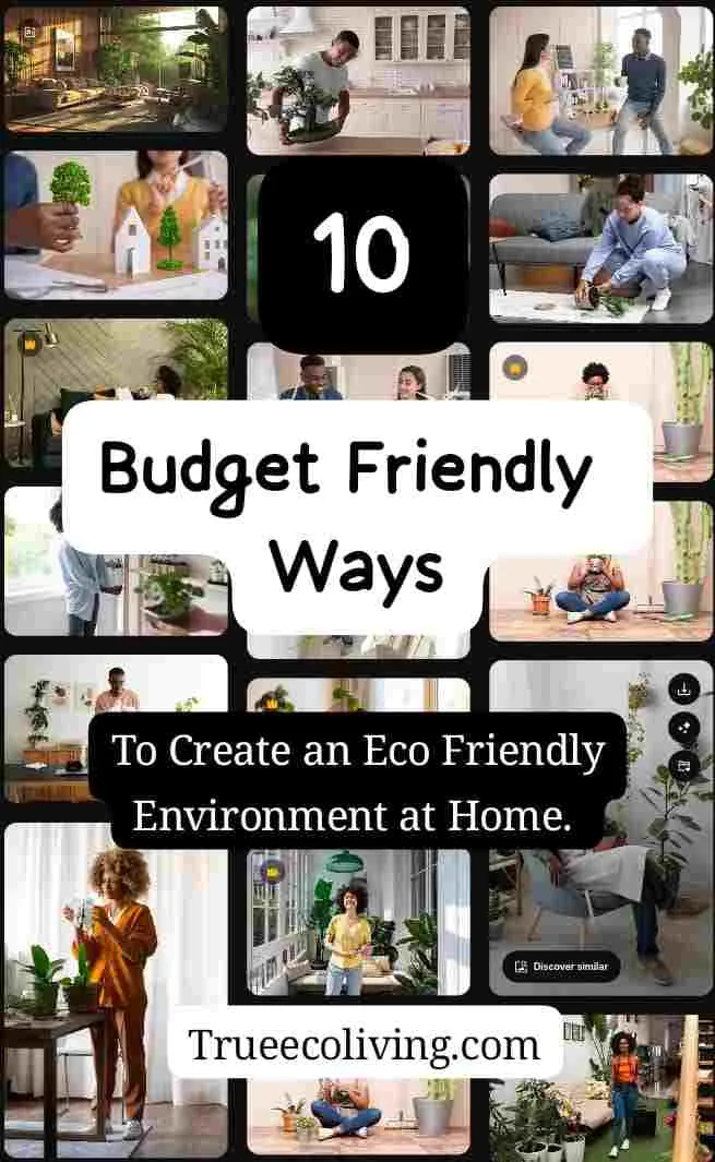 10 Budget Friendly Ways to Create an Eco Friendly Environment at Home