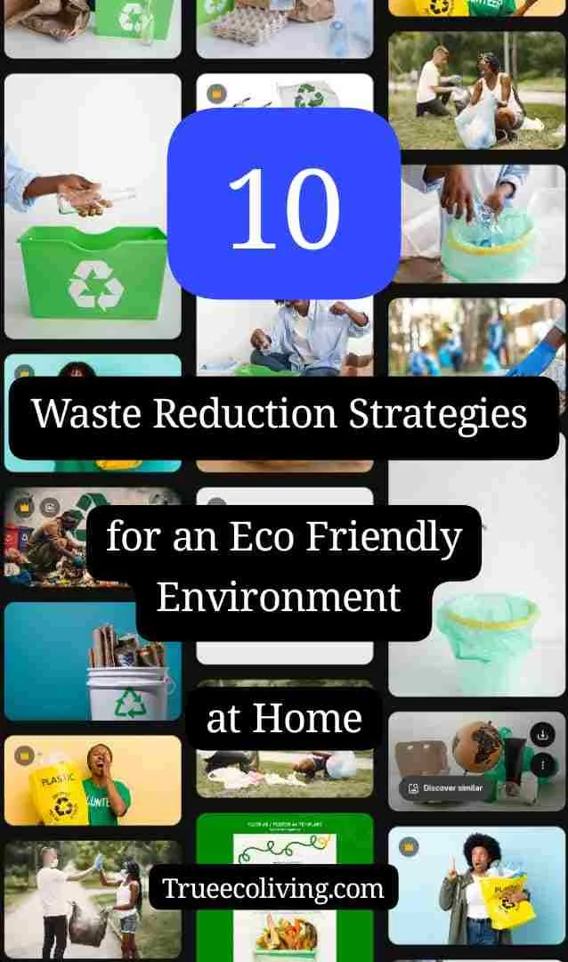 10 Waste Reduction Strategies for an Eco Friendly Environment at Home