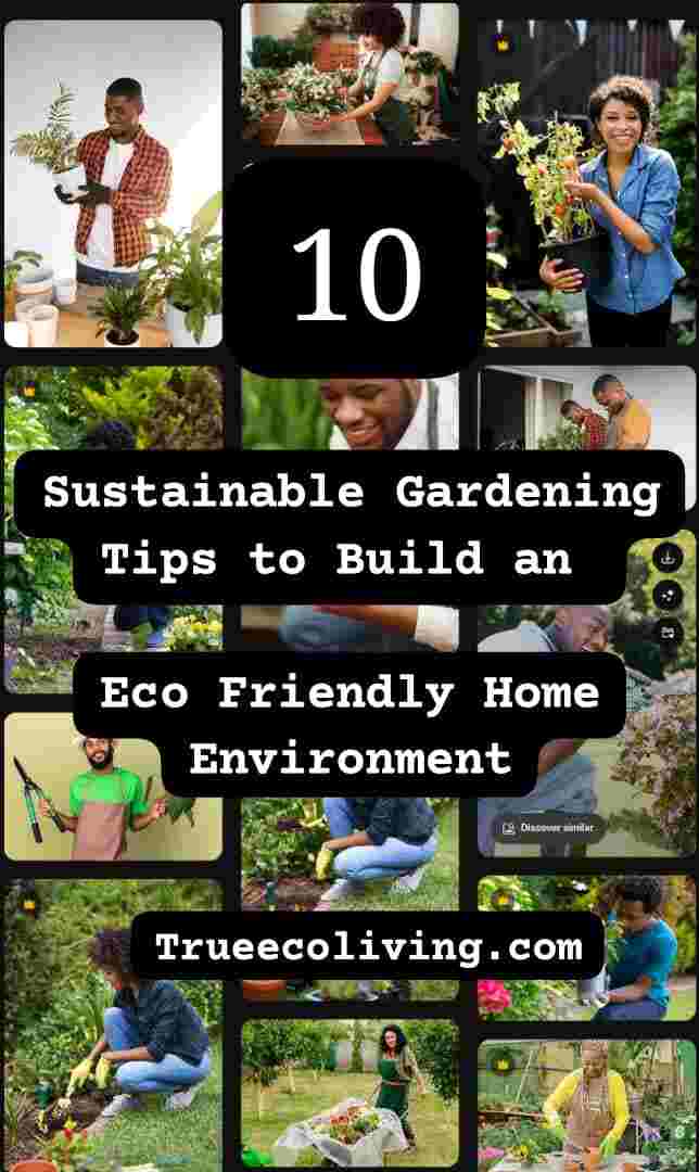 Sustainable Gardening Tips to Build an Eco Friendly Home Environment