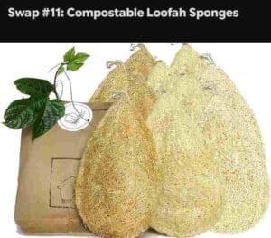 Compostable Loofah Sponges