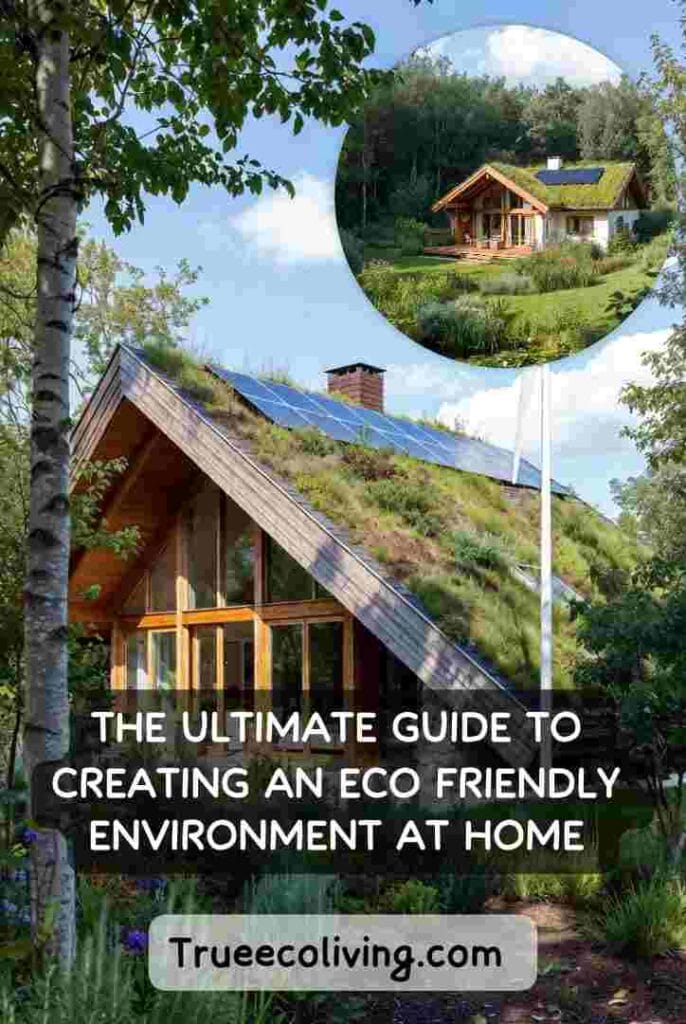 Guide to Creating an Eco Friendly Environment at Home