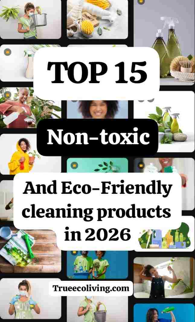 Top 15 Non Toxic and Eco Friendly Cleaning Products