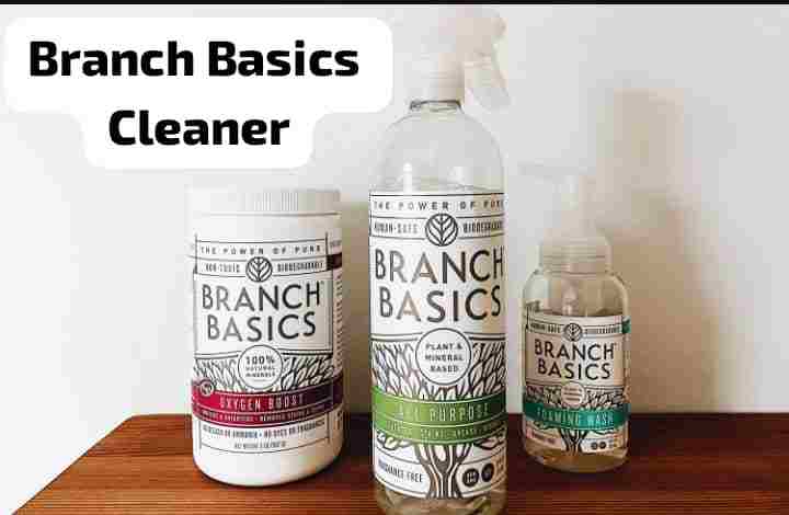 Branch Basics The Concentrate