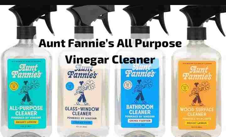 Aunt Fannie’s All Purpose Vinegar Cleaner