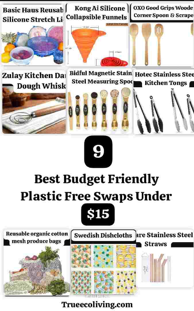 9 Best Budget Friendly Plastic Free Swaps Under $15
