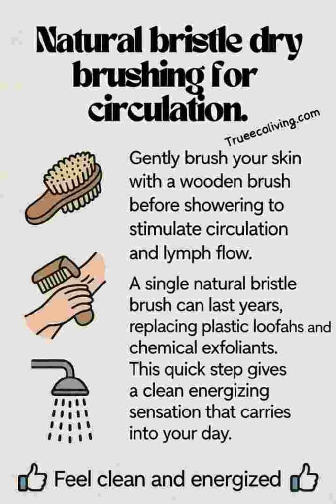 Zero-Waste Morning Rituals: Natural bristle dry brushing for circulation.