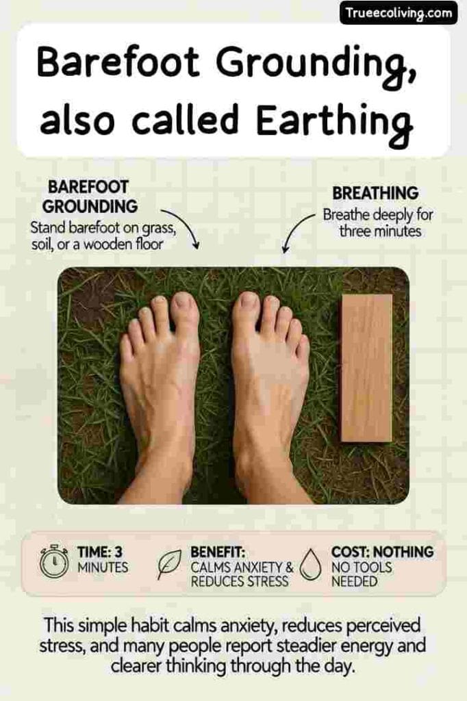 Zero-Waste Morning Rituals: Barefoot grounding, also called earthing. 