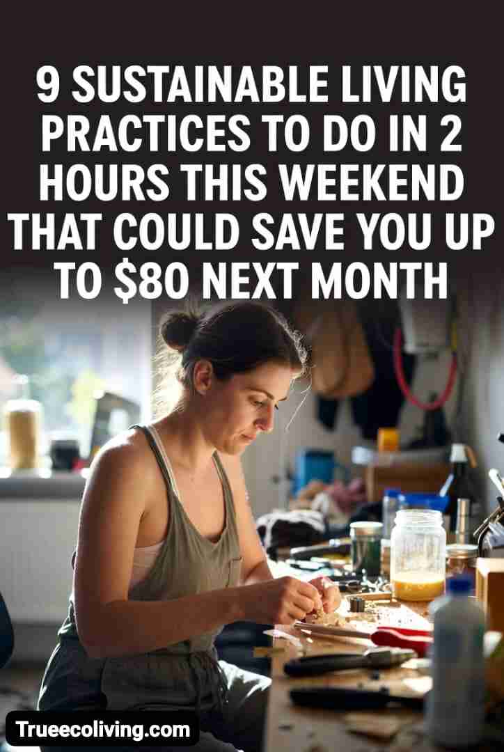 9 Sustainable Living Practices You Can Do in 2 Hours This Weekend That Could Save Up to $80 Next Month.