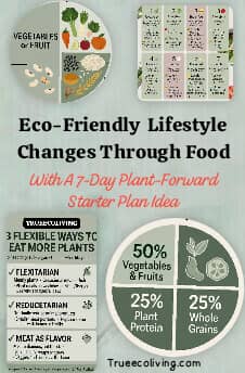 Eco-Friendly Lifestyle Changes Through Food: With A 7-Day Plant-Forward Starter Plan Idea