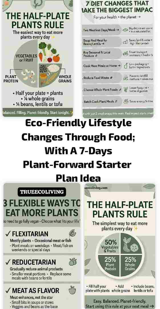 Eco-Friendly Lifestyle Changes Through Food; With A 7-Day Plant-Forward Starter Plan Idea