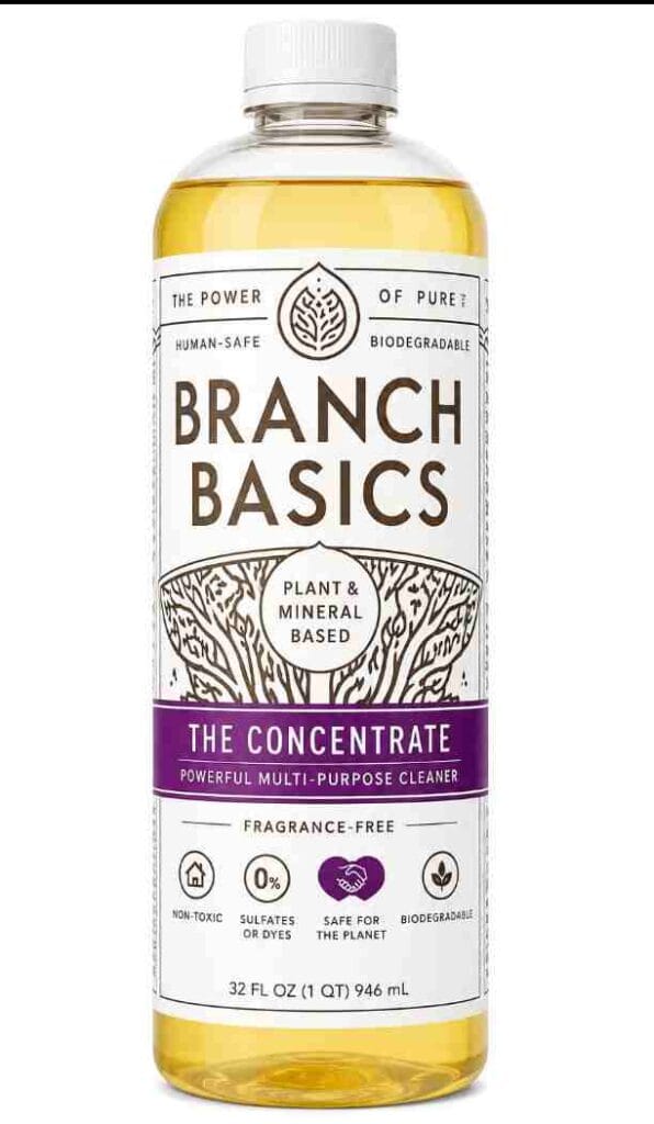 Branch Basics The Concentrate