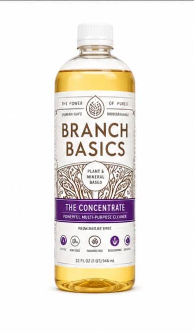 Branch Basics The Concentrate