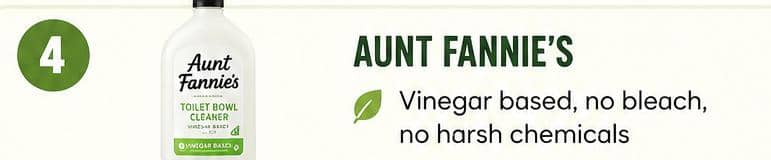 Aunt Fannie’s Toilet Bowl Cleaner
