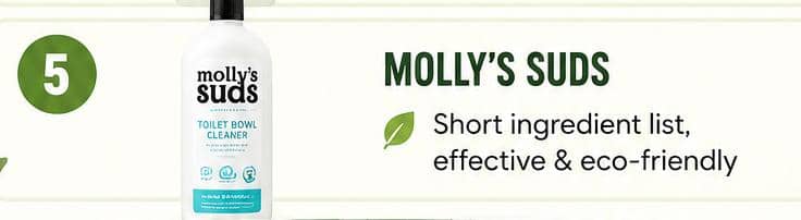Molly’s Suds Toilet Bowl Cleaner