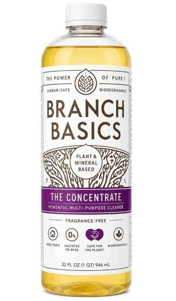 Branch Basics The Concentrate