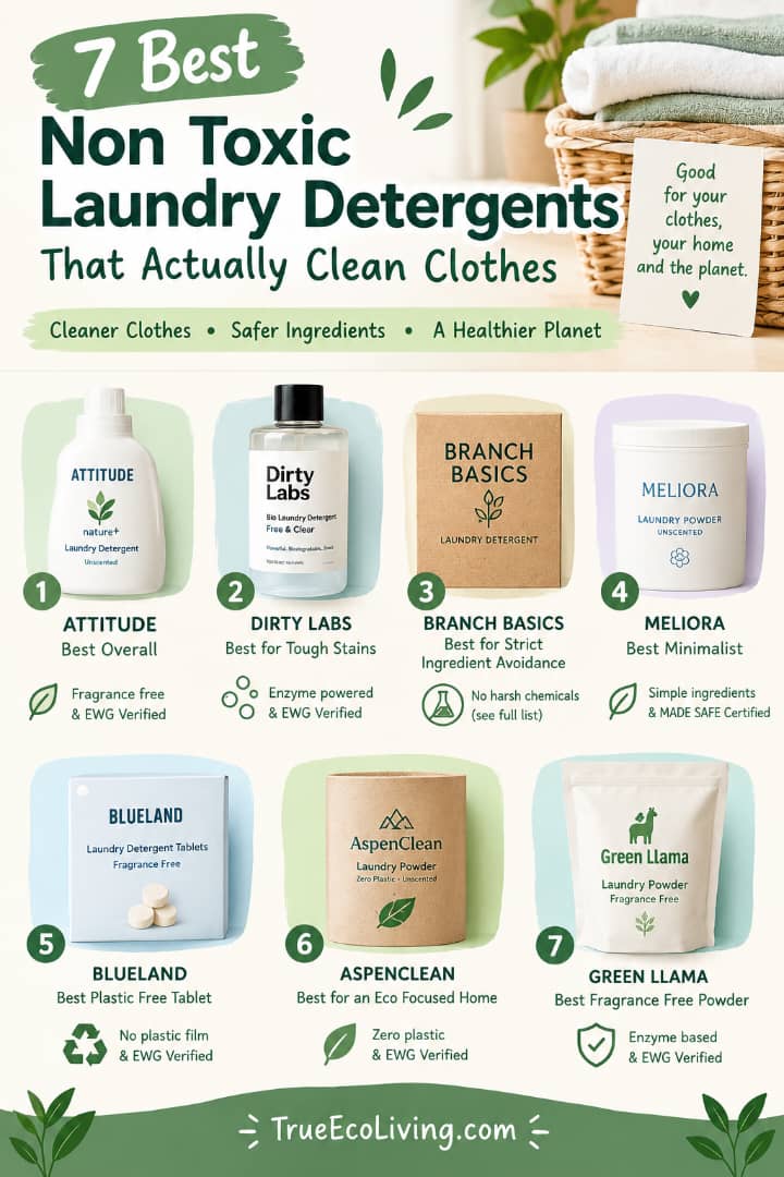 Best Non Toxic Laundry Detergents That Actually Clean Clothes in 2026